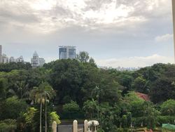 Katong Park Tower (Enbloc) (D15), Condominium #175618082